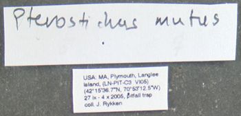 Media type: image;   Entomology 600431 Aspect: labels